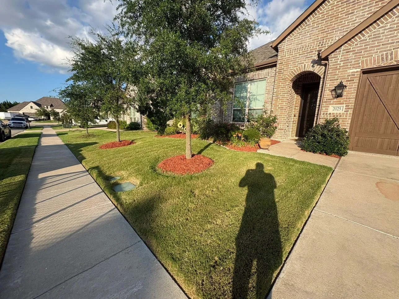 Yard Waste Removal